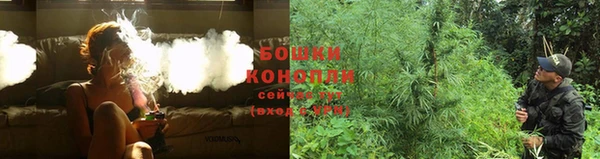 герыч Каменногорск