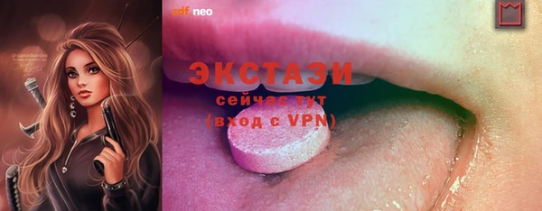 СК Каменка