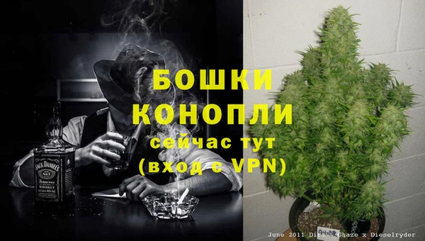 герыч Каменногорск