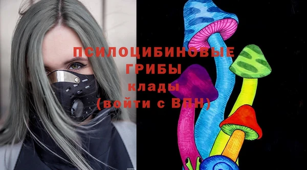 герыч Каменногорск