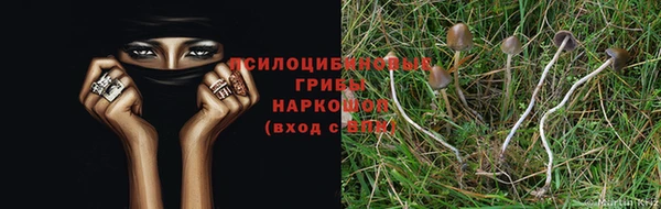 МДМА Каменск-Шахтинский