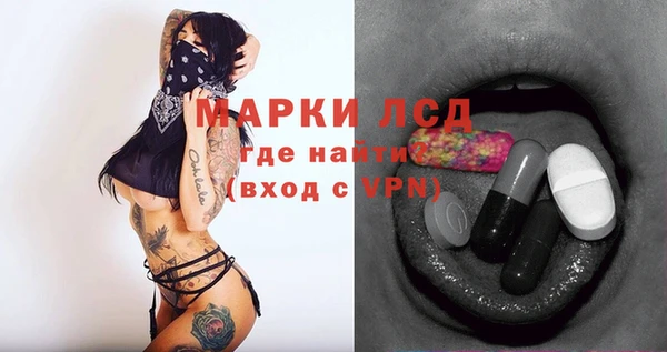 герыч Каменногорск