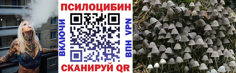 Купить закладки  Белово  Галлюциногенные грибы мухоморы 